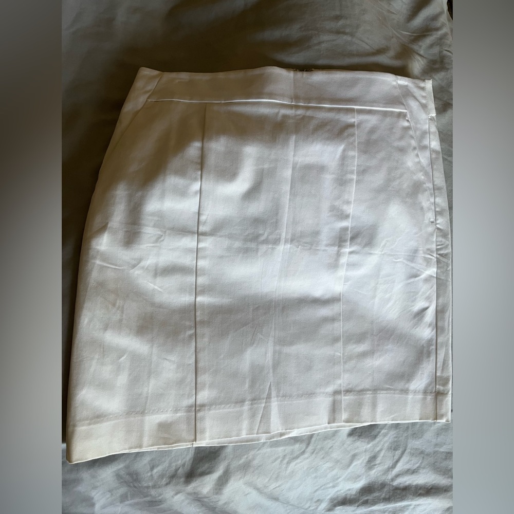 Stark White Ann Taylor Pencil Skirt
